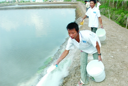Quy chuẩn sản phẩm xử lý môi trường nuôi thủy sản
